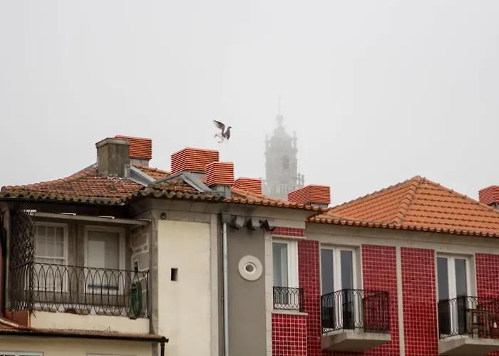 Apartment Pacific - Almeida Garrett - Estudio A 5 Minutos Da Ribeira Porto