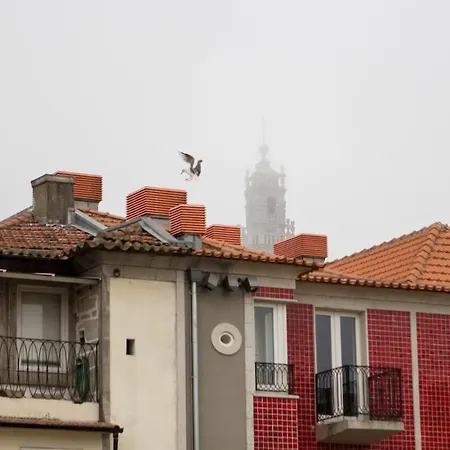 Apartmán Pacific - Almeida Garrett - Estudio A 5 Minutos Da Ribeira Porto